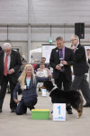 Goes 2013: Malone: best veteran in show,BOB,best male.